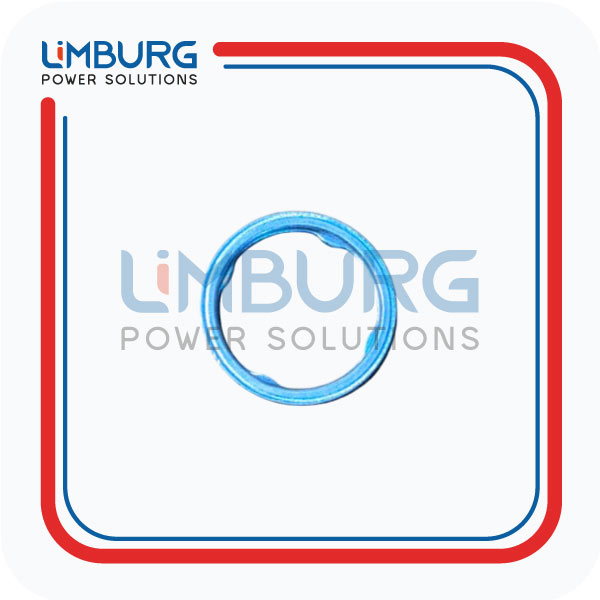 SEALING RING FOR SPARK PLUG-12211061 GENUINE | OEM