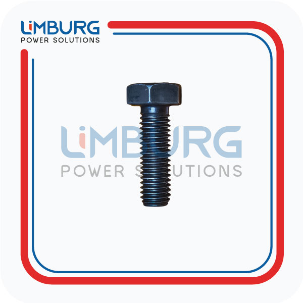 HEXAGON BOLT 01138769 MWM GENUINE|OEM