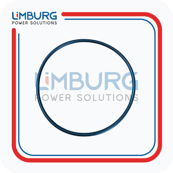 O-SEAL 06214769 MWM GENUINE|OEM