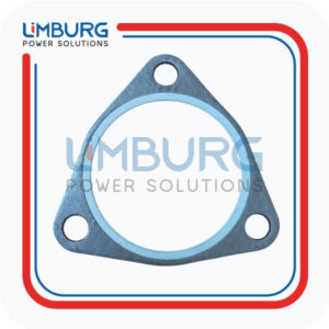 SHAPED PACKING 12307263 MWM GENUINE|OEM