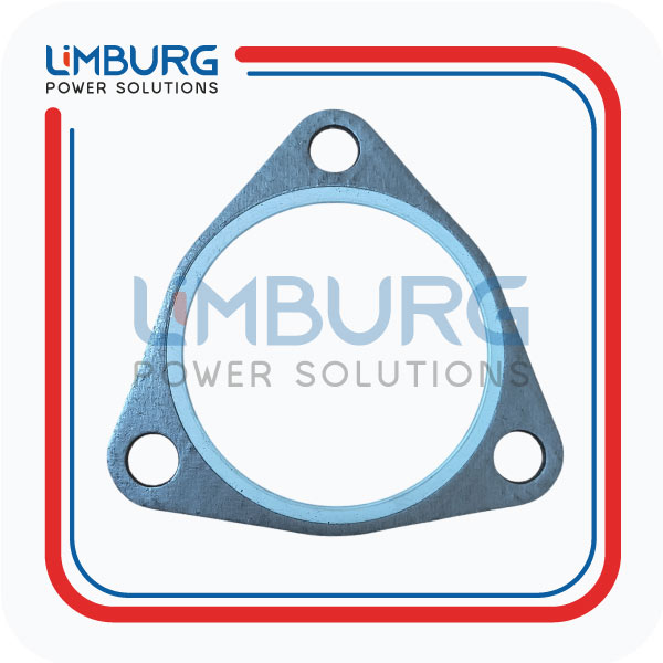 SHAPED PACKING 12307263 MWM GENUINE|OEM